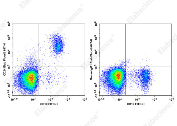 Elab Fluor® 647 Anti-Human CD24 Antibody[HIQB24] (AN00645M)