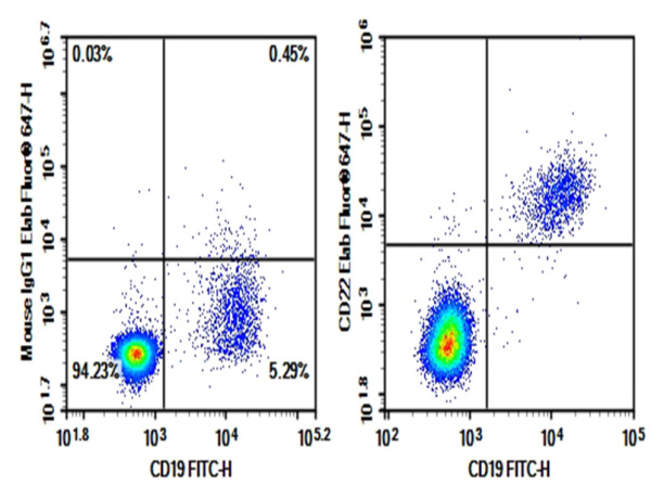 Purified Anti-Human CD22 Antibody[HIB22] (E-AB-F1321A)