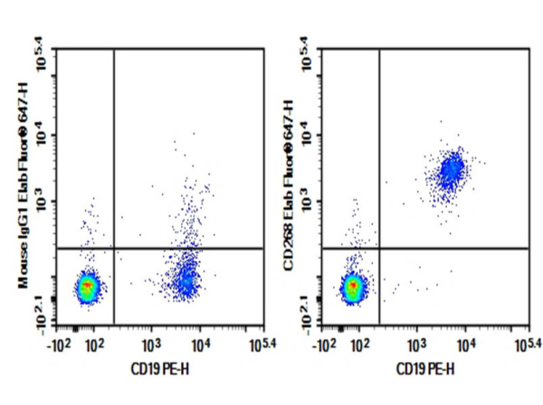 Purified Anti-Human CD268 Antibody[H353-6G10] (AN006550P)