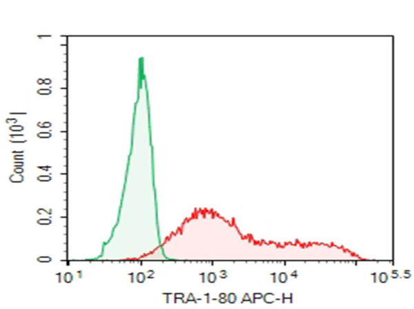 Purified Anti-Human TRA-1-80 Antibody[TRA-1-81] (AN011250P)