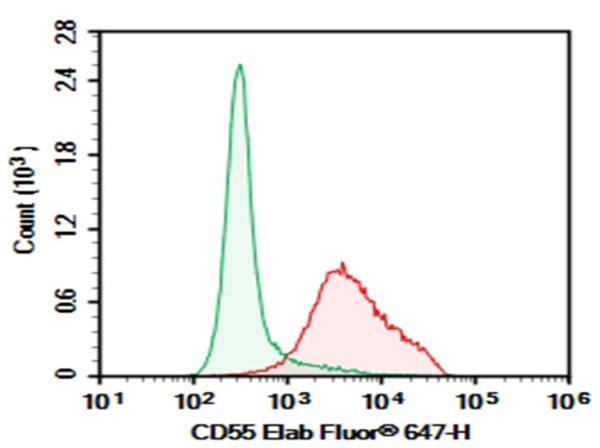 Purified Anti-Human CD55 Antibody[143-30] (AN006160P)