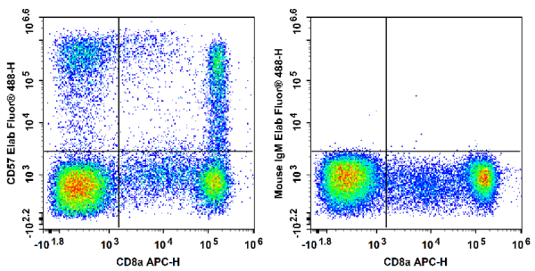 Elab Fluor® 488 Anti-Human CD57 Antibody[HNK-1] (E-AB-F1067L)