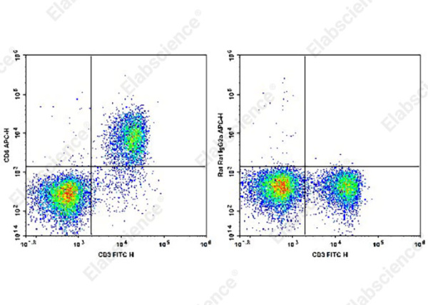 APC Anti-Mouse CD6 Antibody[OX-129] (AN00327E)