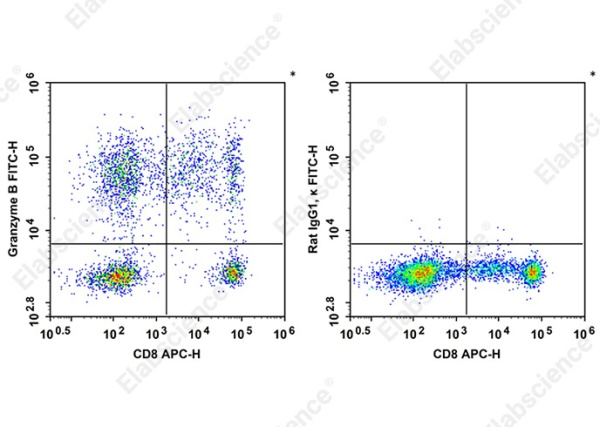 FITC Anti-Human Granzyme B Antibody[QA18A28] (AN00961C)