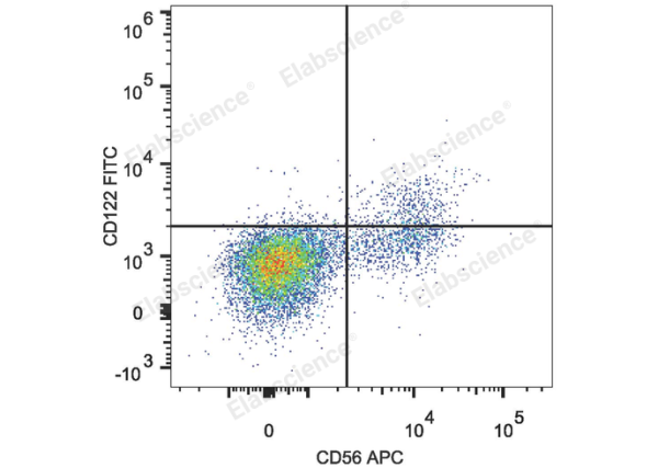 FITC Anti-Human CD122/IL-2RB Antibody[TU27] (E-AB-F1151C)
