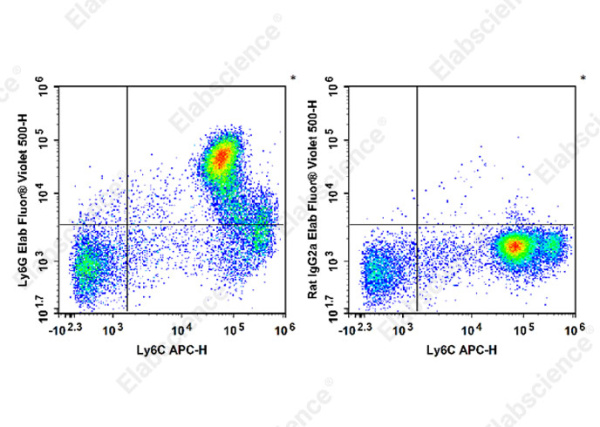 Elab Fluor® Violet 500 Anti-Mouse Ly6G Antibody[1A8] (E-AB-F1108R)