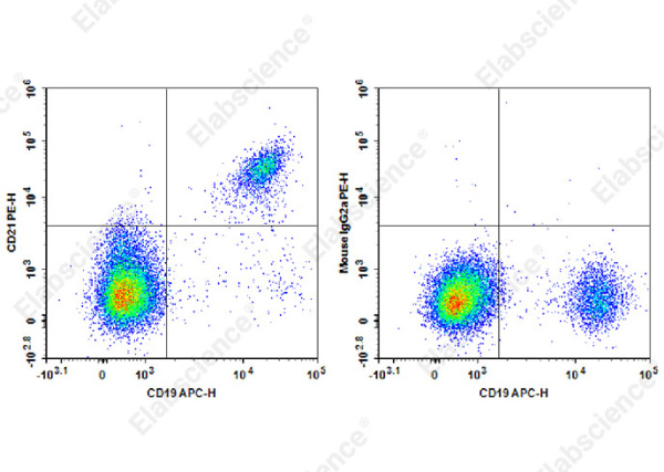 PE Anti-Human CD21 Antibody[HB5] (E-AB-F1377D)