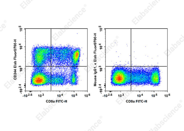 Elab Fluor® 700 Anti-Human CD244 Antibody[C1.7] (E-AB-F1374M1)