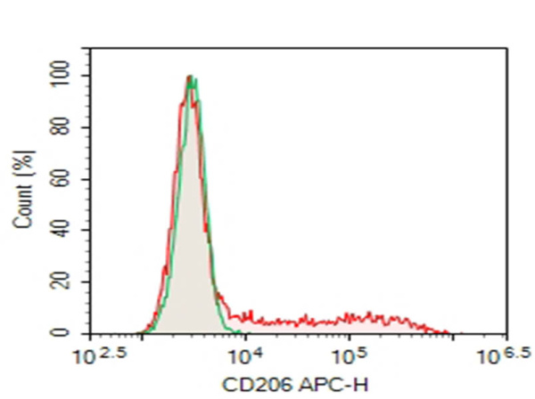 AF/LE Purified Anti-Human CD206 Antibody[15-2] (E-AB-F11610)