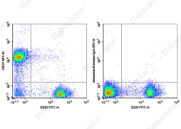 APC Anti-Mouse CD27 Antibody[LG.3A10] (AN00322E)