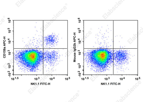 APC Anti-Mouse CD159a Antibody[16A11] (AN00658E)