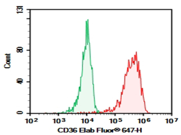 Purified Anti-Human CD36 Antibody[5-271] (E-AB-F1164A)