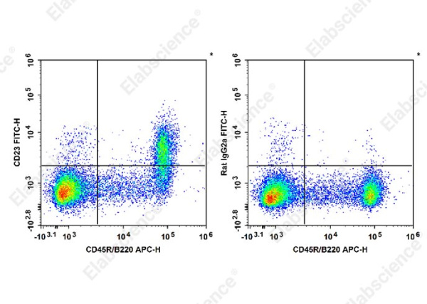 FITC Anti-Mouse CD23 Antibody[B3B4] (E-AB-F1178UC)