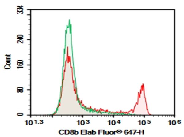 Purified Anti-Mouse Cd8b Antibody[YTS156.7.7] (AN004790P)