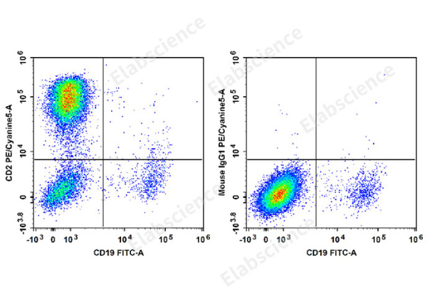 PE/Cyanine5 Anti-Human CD2 Antibody[RPA-2.10] (E-AB-F1375G)