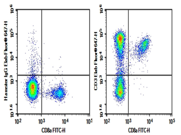 AF/LE Purified Anti-Mouse CD3e Antibody[500A2] (AN003420)