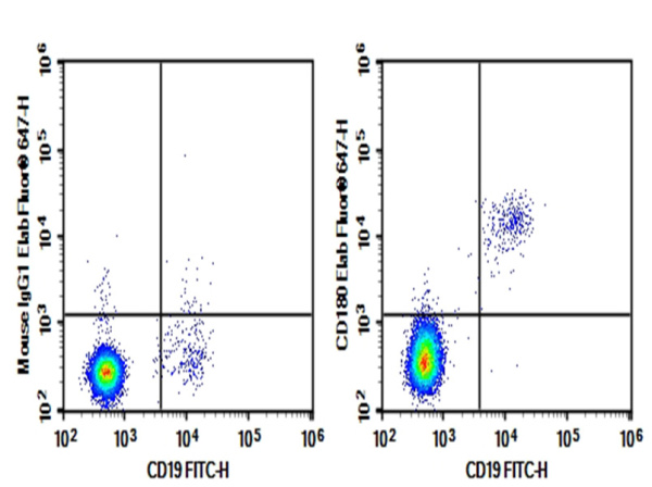 Purified Anti-Human CD180 Antibody[G28-8] (AN002900P)