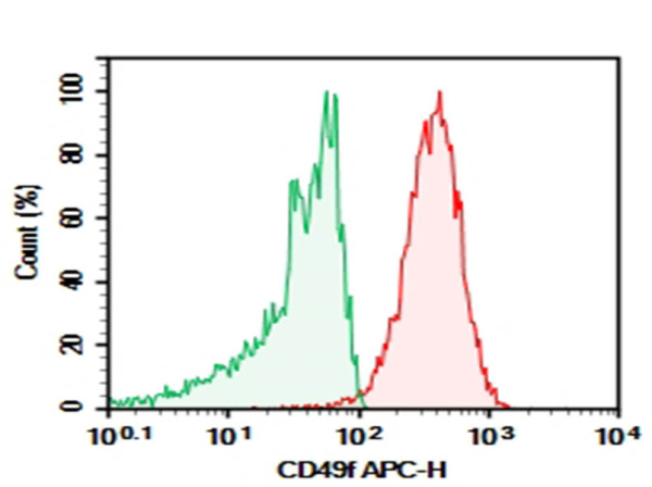 Purified Anti-Human CD49f Antibody[GoH3] (AN008930P)