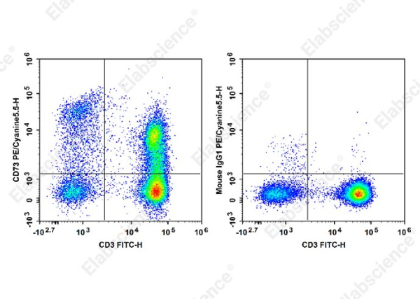 PE/Cyanine5.5 Anti-Human CD73 Antibody[AD2] (E-AB-F1242I)