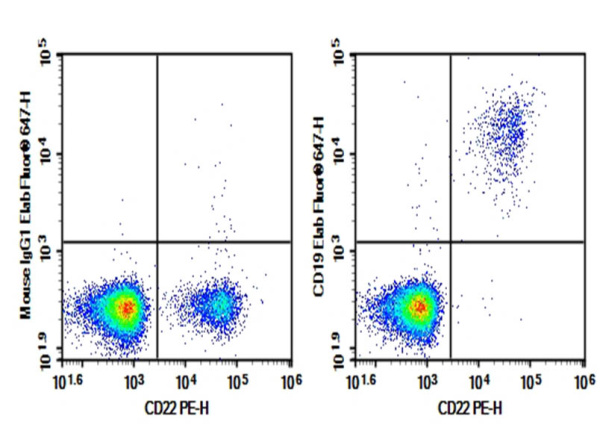 AF/LE Purified Anti-Human CD19 Antibody[HIB19] (AN008610)