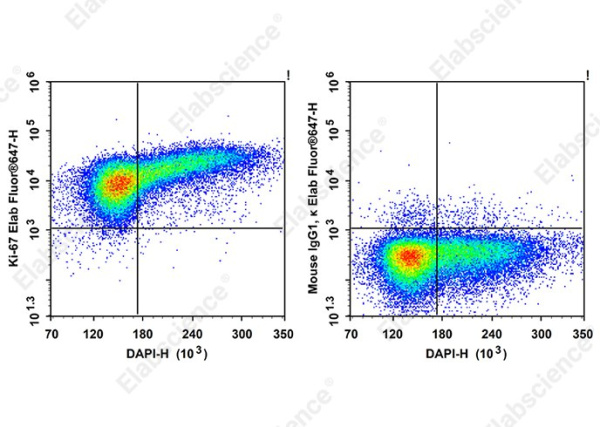 Elab Fluor®647 Anti-Human Ki-67 Antibody[3B7] (AN00540M)