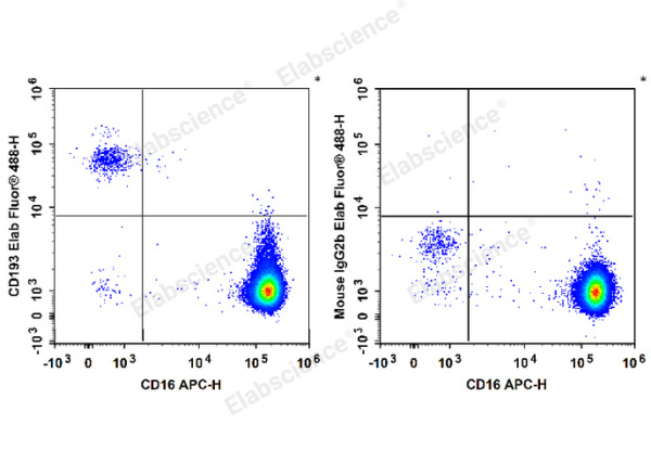 Elab Fluor® 488 Anti-Human CD193/CCR3 Antibody[5E8] (E-AB-F1303L)