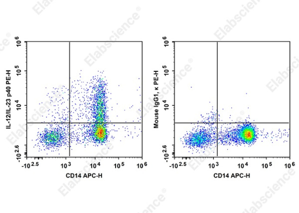 PE Anti-Human IL-12/IL-23 p40 Antibody[C11.5] (AN00848D)