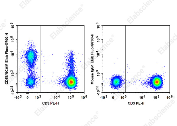 Elab Fluor® 700 Anti-Human CD56/NCAM Antibody[MY31] (E-AB-F1270M1)