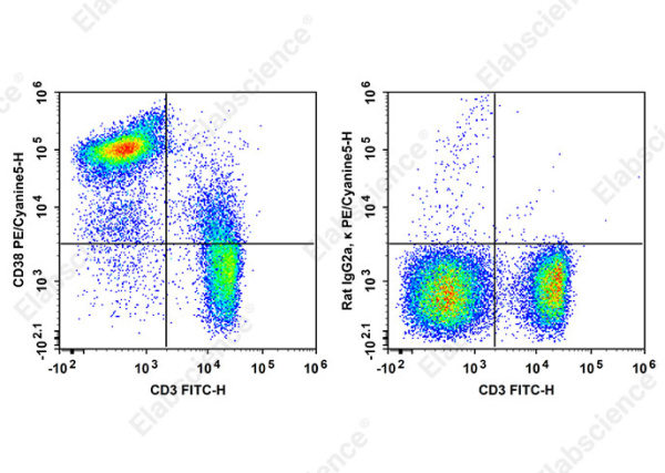 PE/Cyanine5 Anti-Mouse CD38 Antibody[90] (AN00858G)
