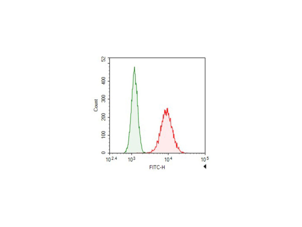 FITC-conjugated Vinculin Monoclonal Antibody (AN00297C)