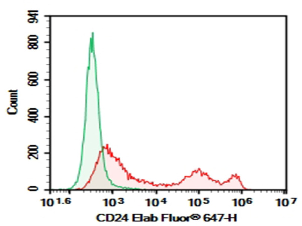 Purified Anti-Mouse CD24 Antibody[M1/69] (E-AB-F1179A)