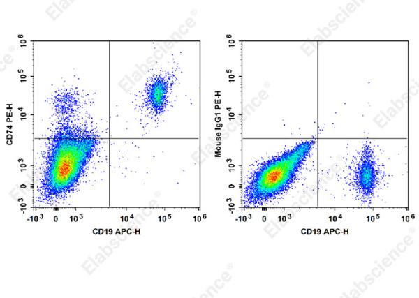 PE Anti-Human CD74 Antibody[LL1] (E-AB-F1421D)