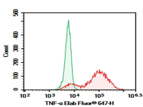 Purified Anti-Human TNF-α Antibody[Adalimumab297.rMAb] (AN007900P)