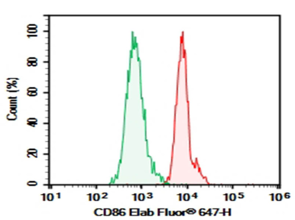 Purified Anti-Human CD86 Antibody[2331 (FUN-1)] (AN008020P)