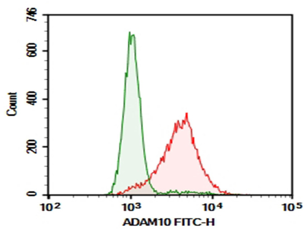 Purified Anti-Human ADAM10 Antibody[11G2] (AN003550P)