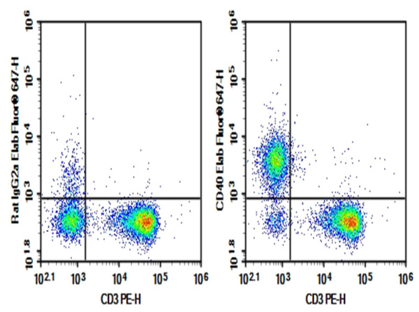 AF/LE Purified Anti-Mouse CD40 Antibody[FGK4.5/FGK45] (E-AB-F10280)