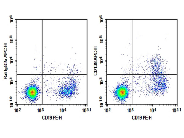Purified Anti-Mouse CD138 Antibody[281-2] (E-AB-F1394A)