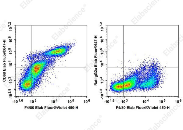 Elab Fluor®647 Anti-Mouse CD68 Antibody[FA-11] (AN00927M)