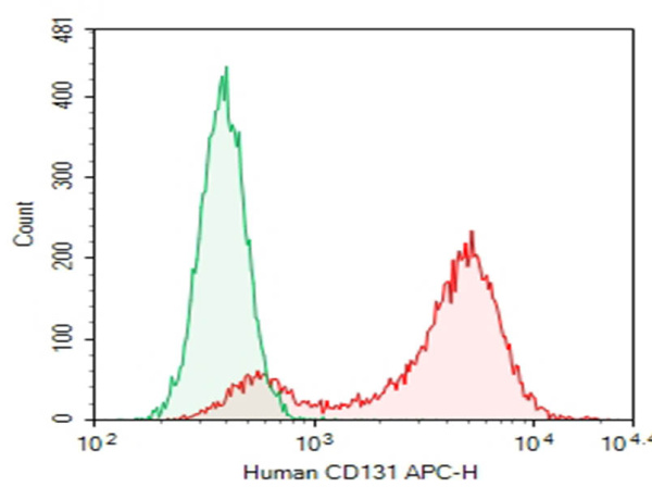 Purified Anti-Human CD131 Antibody[BION-1] (AN010320P)