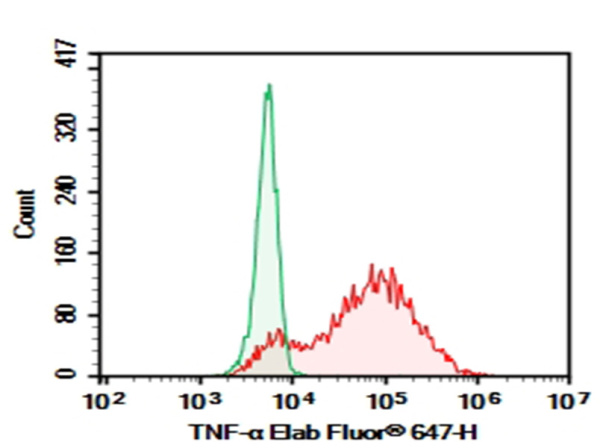 Purified Anti-Human TNF-alpha Antibody[Infliximab297.rMAb] (AN007890P)