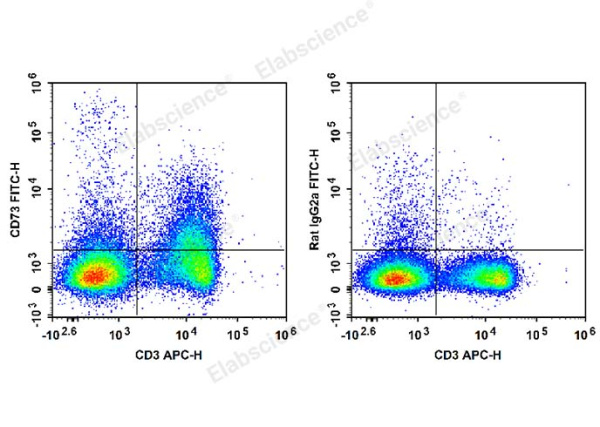 FITC Anti-Mouse CD73 Antibody[TY/23] (E-AB-F1089UC)