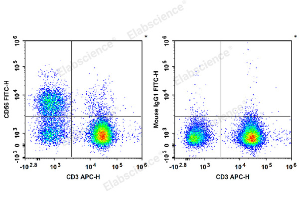 FITC Anti-Human/Monkey CD56/NCAM Antibody[B-A19] (E-AB-F1305C)