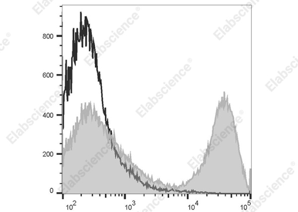 Elab Fluor® 647 Goat Anti-Rat IgG (H+L) Antibody[Poly1441] (AN00339M)