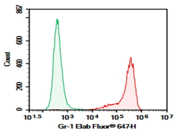 Purified Anti-Mouse Ly-6G/Ly-6C (Gr-1) Antibody[RB6-8C5] (E-AB-F1120A)