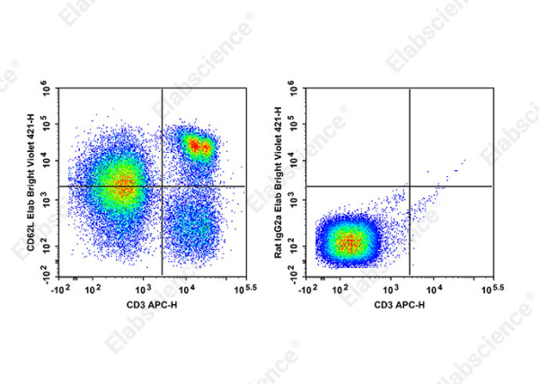 Elab Bright™ Violet 421 Anti-Mouse CD62L Antibody[MEL-14] (E-AB-F1011Q2)
