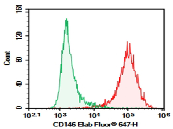 Purified Anti-Human CD146 Antibody[AA98] (E-AB-F14170P)