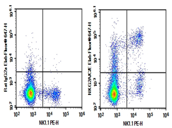 Purified Anti-Mouse NKG2A/C/E Antibody[20D5] (AN004090P)