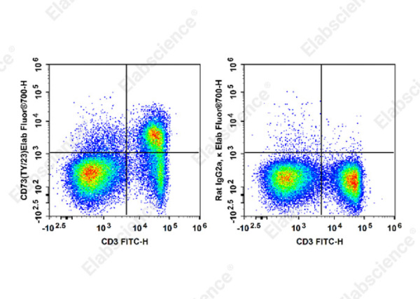 Elab Fluor® 700 Anti-Mouse CD73 Antibody[TY/23] (E-AB-F1089M1)