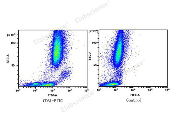 FITC Anti-Human CD31 Antibody[158-2B3] (E-AB-F1050C)