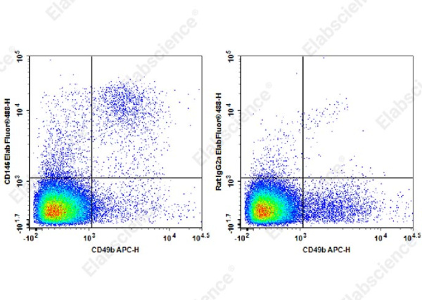 Elab Fluor® 488 Anti-Mouse CD146 Antibody[ME-9F1] (E-AB-F1395L)